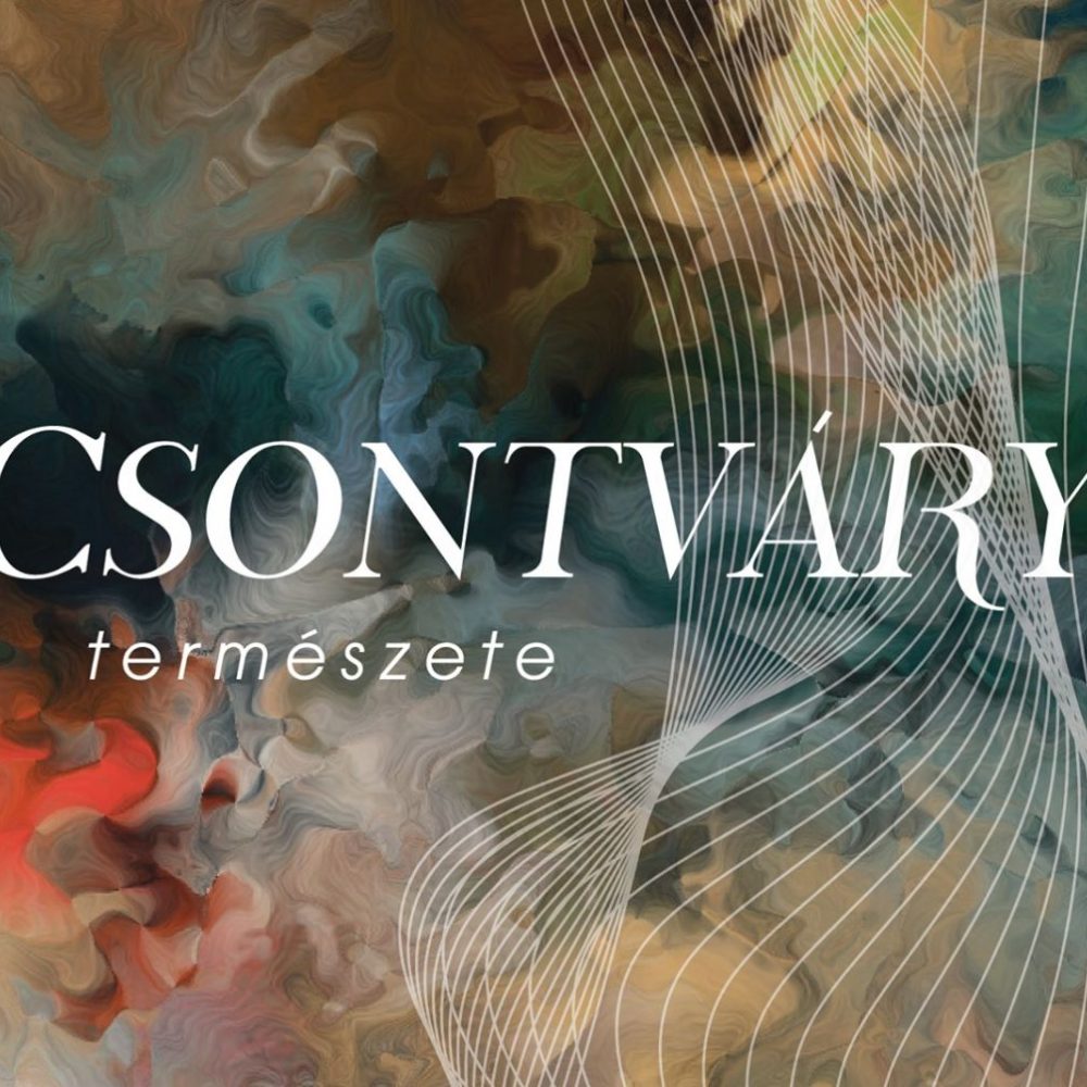 Csontváry-buszjárat iskoláknak