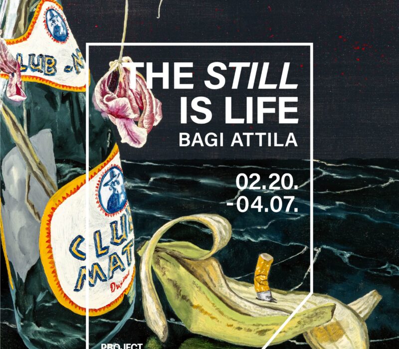 Kiállításmegnyitó: The Still is Life – Bagi Attila egyéni kiállítása