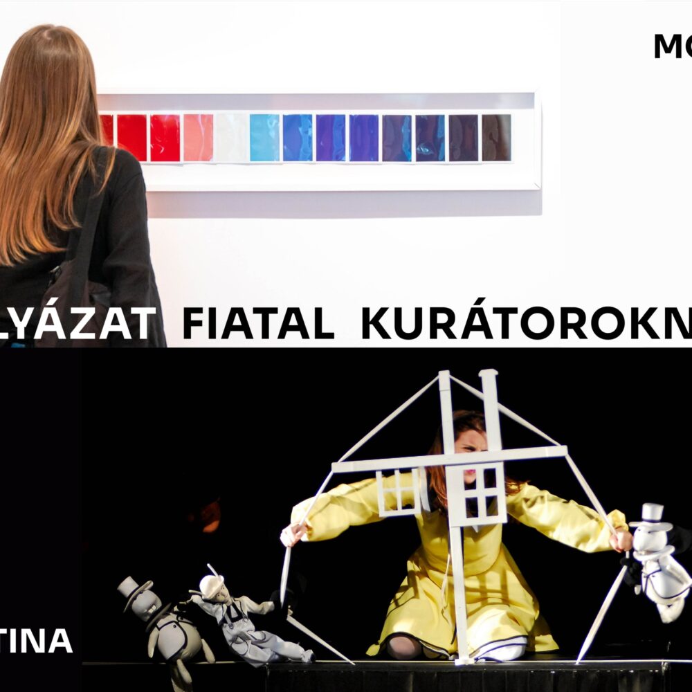 PÁLYÁZAT FIATAL KURÁTOROKNAK