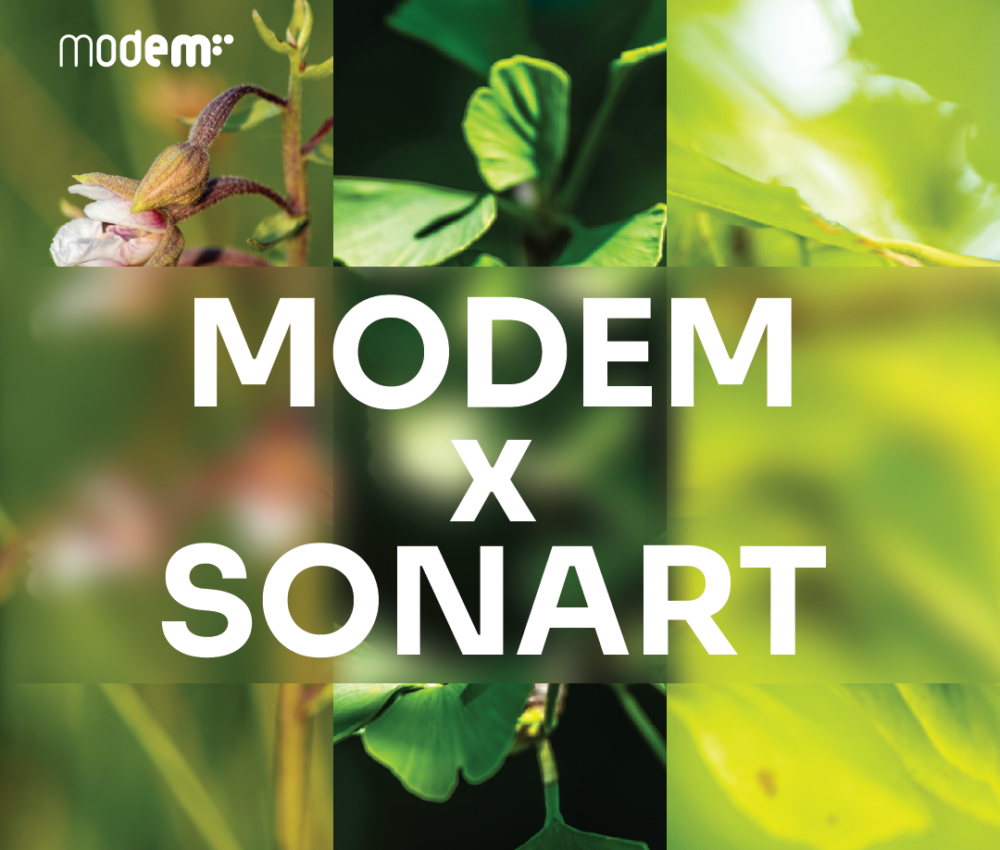 MODEM x Sonart