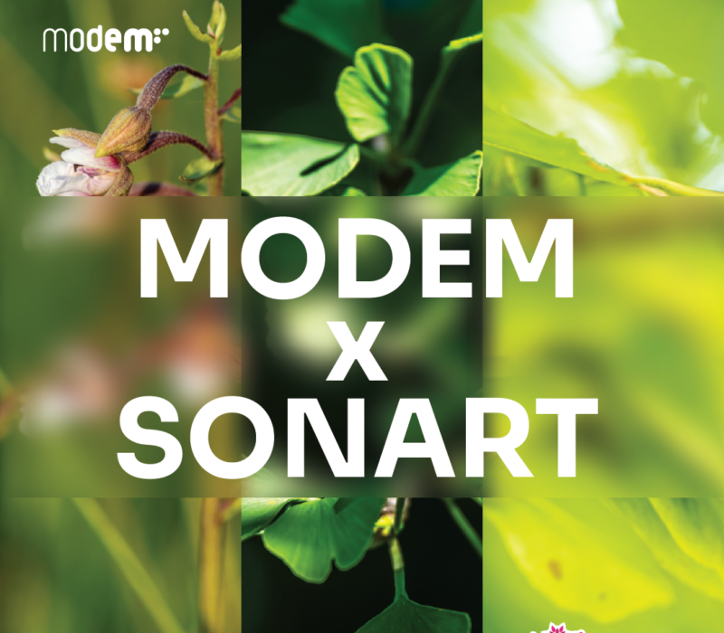 MODEM x Sonart