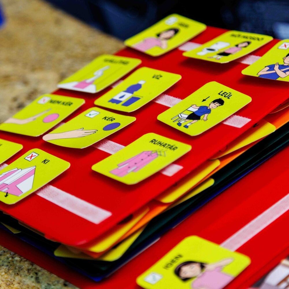 Finisszázs: Hanyas vagy? – könnyen érthető tárlatvezetés Dobos Károly logopédus-gyógypedagógussal