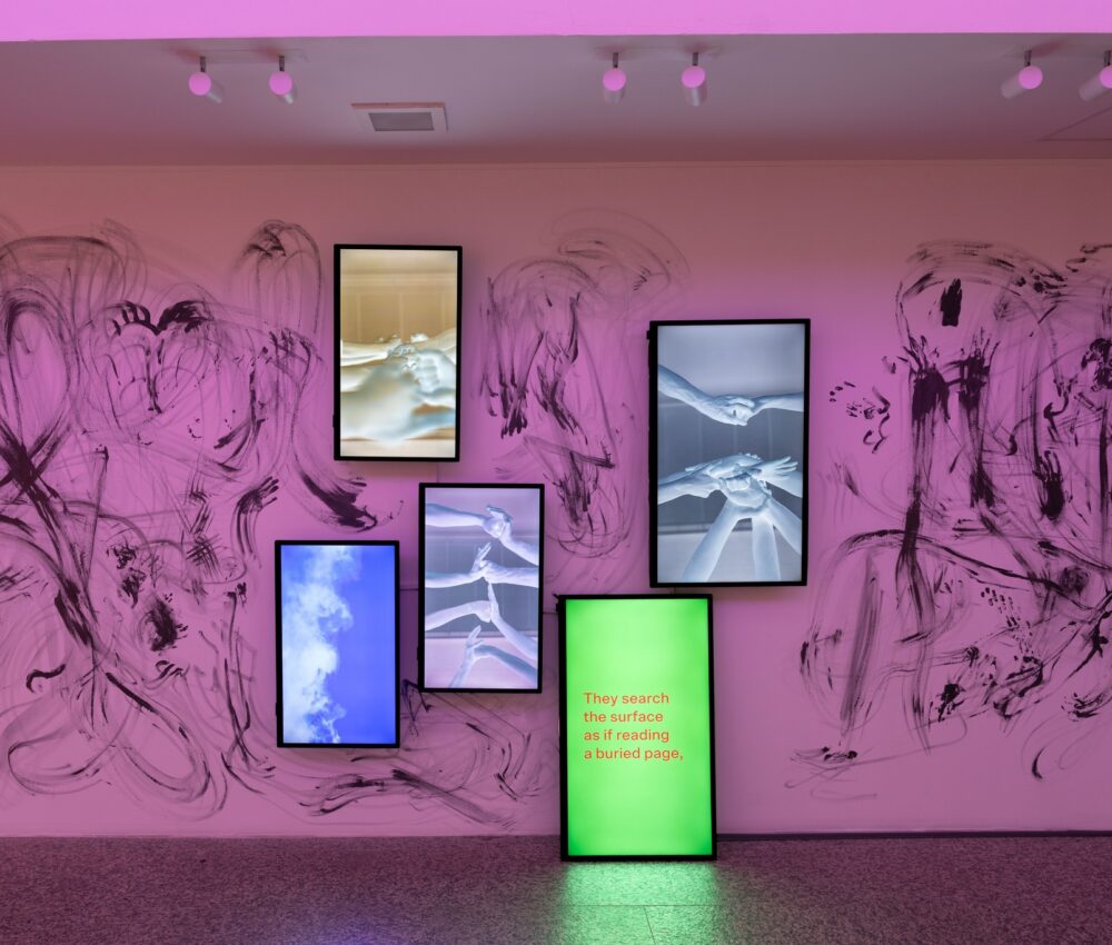 Firkalak: A kinccsé vált törpök