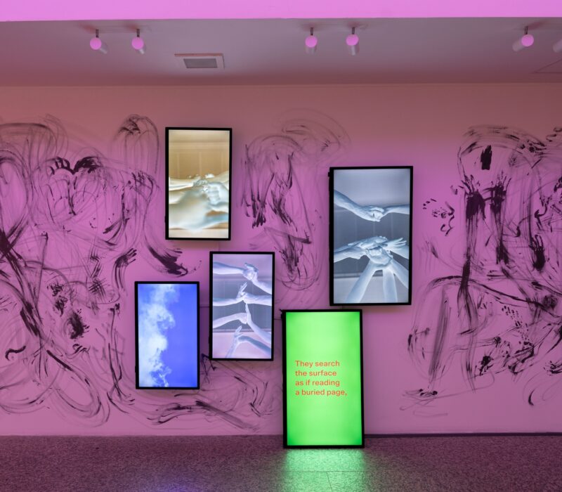 Firkalak: A kinccsé vált törpök