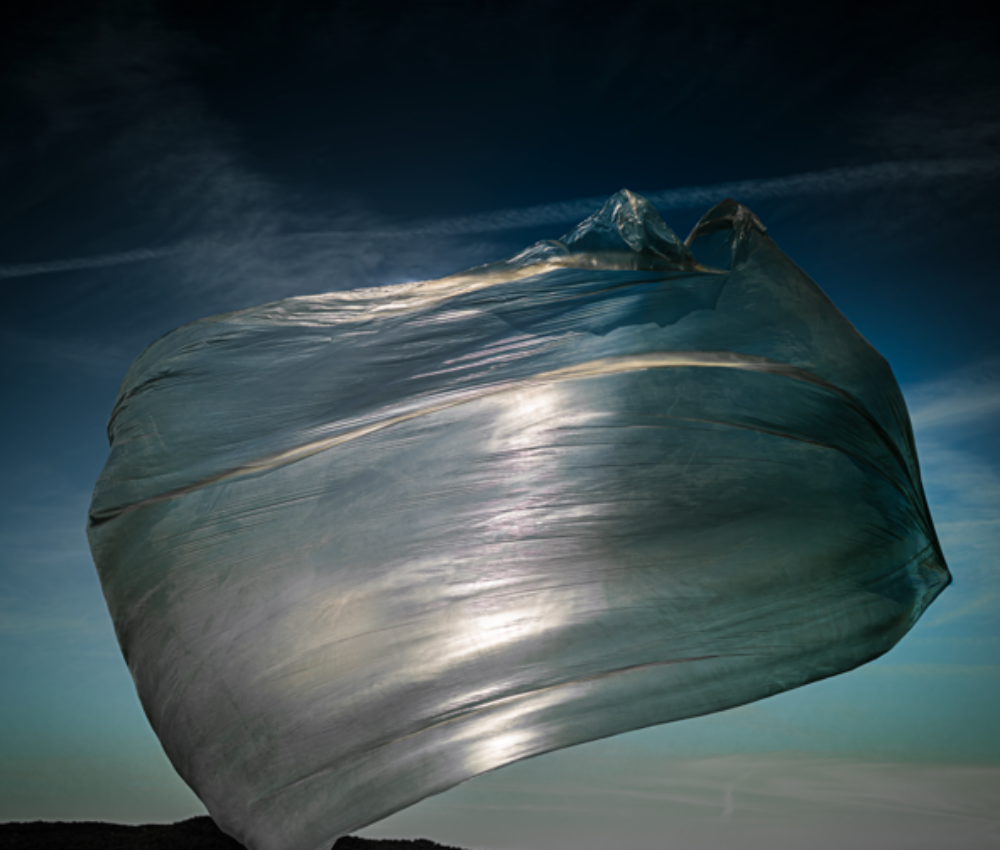 Rendhagyó Firkalak: A szél nyomában