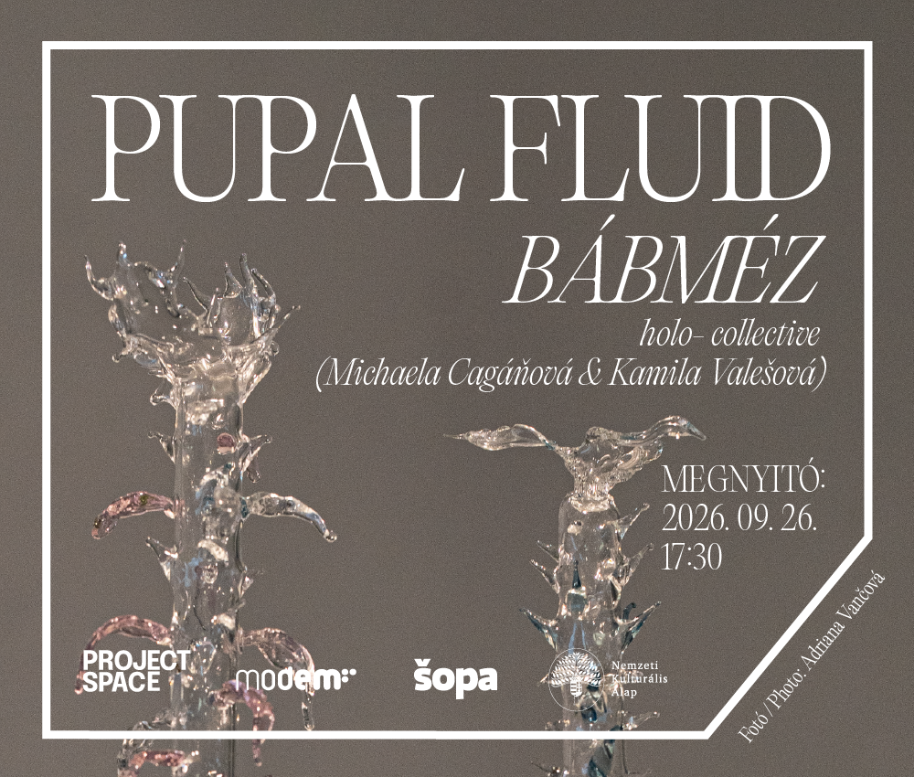 KIÁLLÍTÁSMEGNYITÓ: holo- : Pupal Fluid // Bábméz