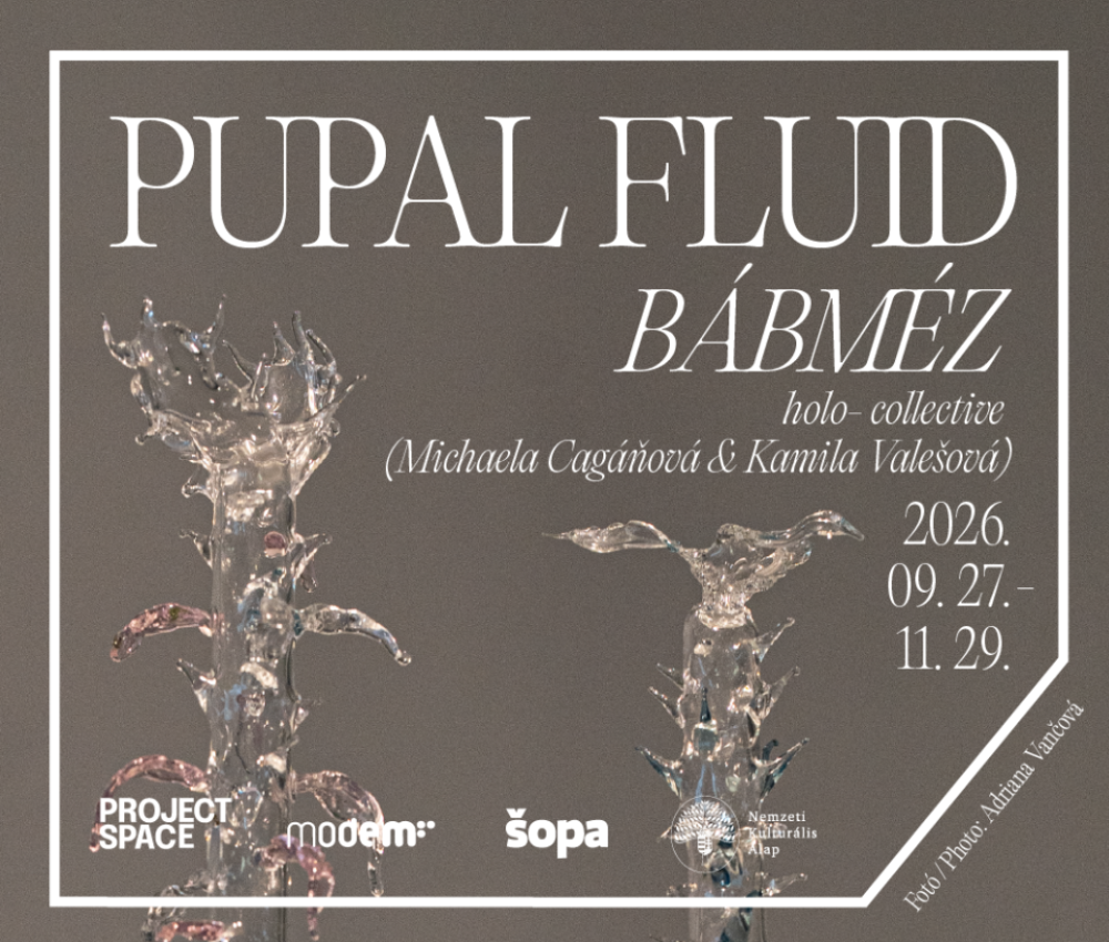 holo-: Bábméz