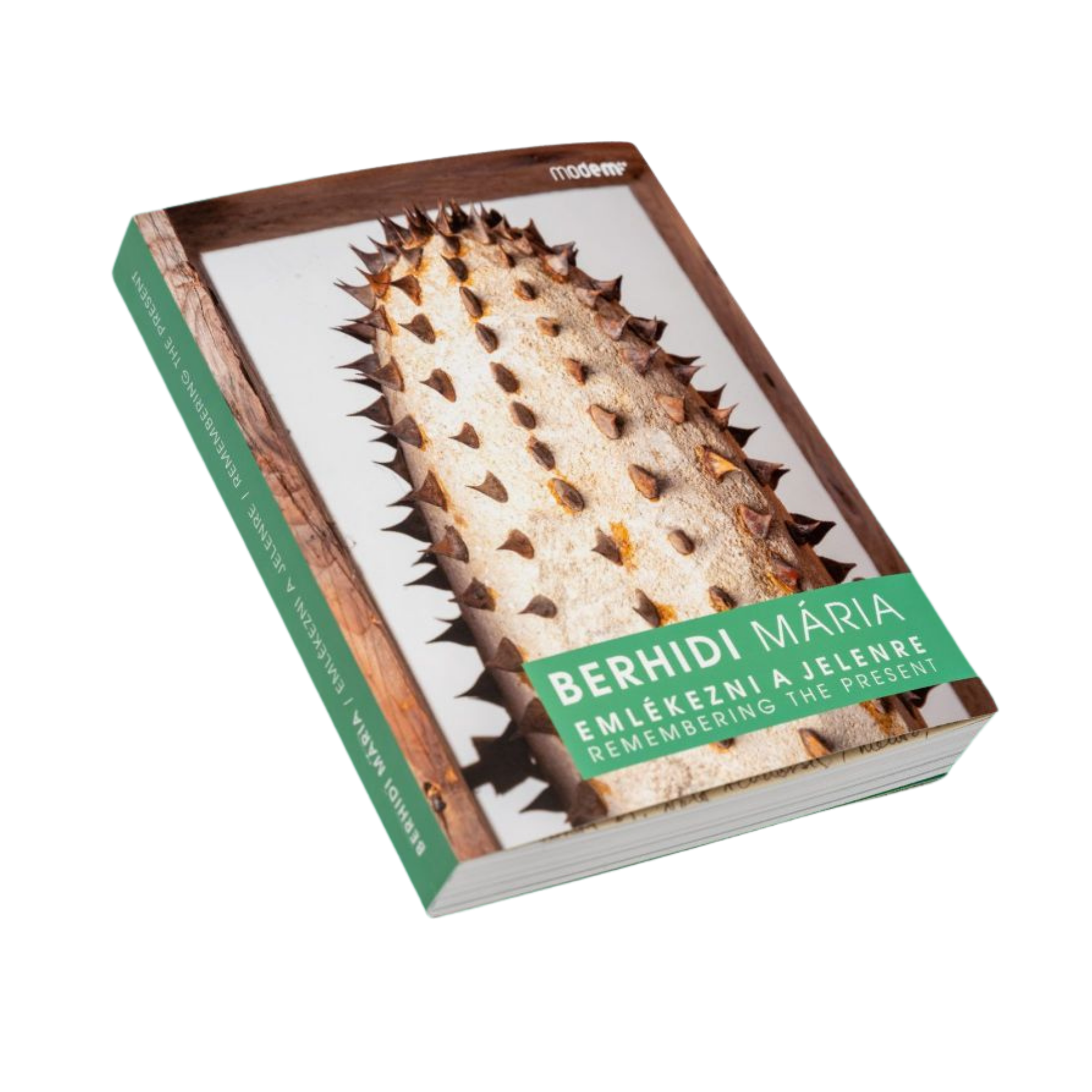 Mária Berhidi: Remembering the Present